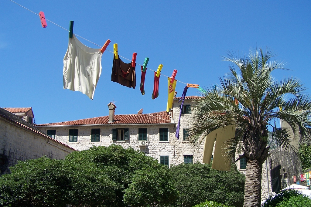 104_9198 (1024x682).jpg