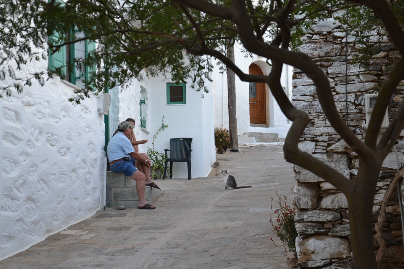 DSC_0047 (Kopiowanie).JPG