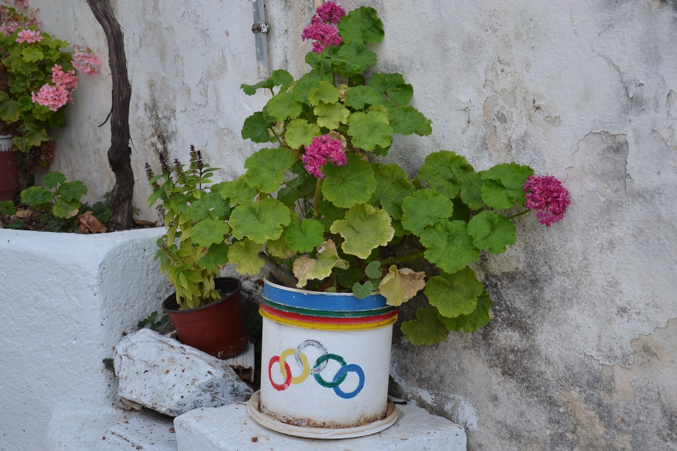 DSC_0056 (Kopiowanie).JPG