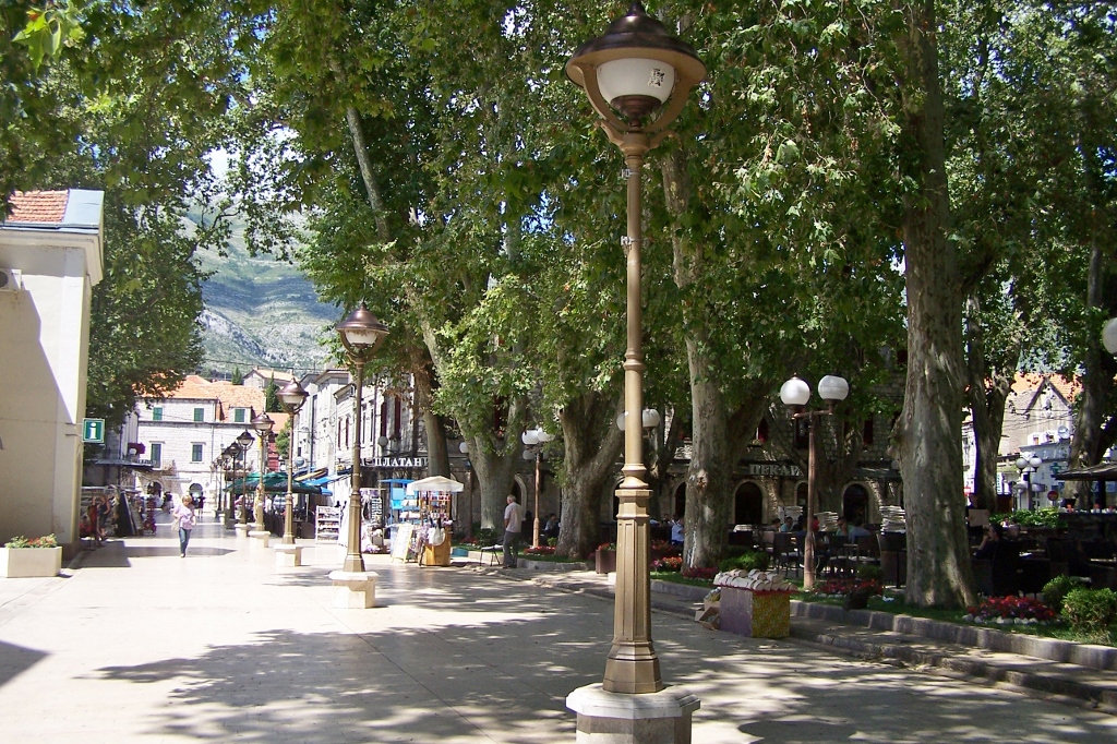 104_9224 (1024x682).jpg