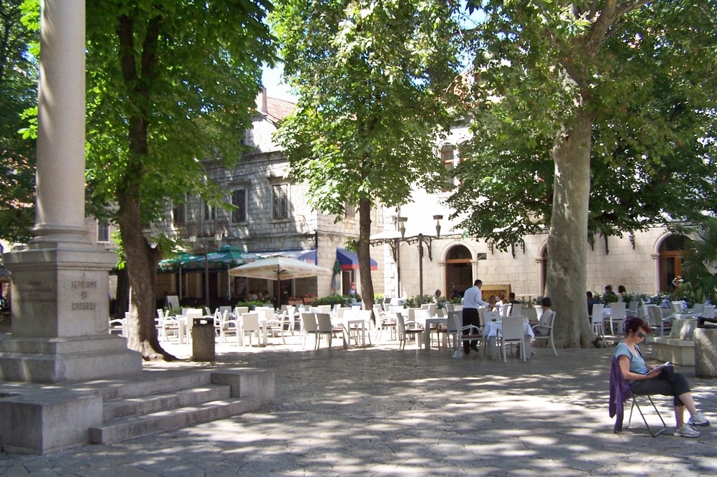 104_9225 (1024x682).jpg