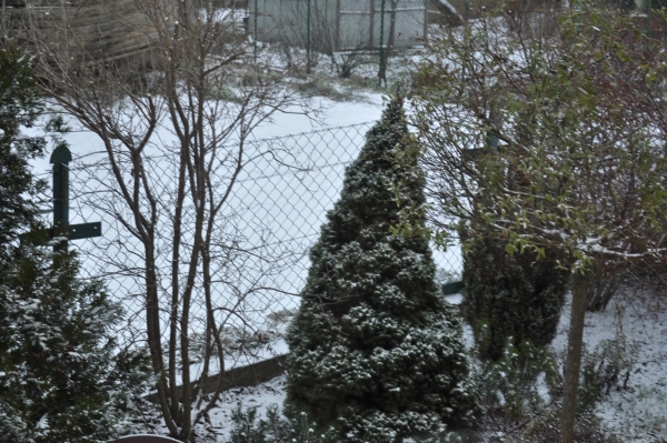 _DSC0854.jpg