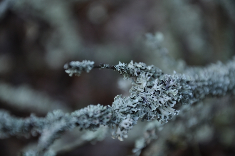 _DSC0613.jpg