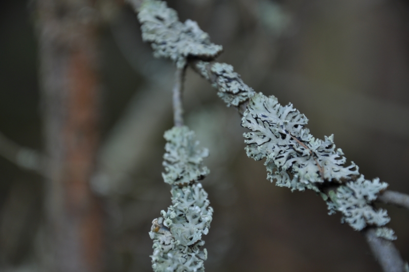 _DSC0614.jpg