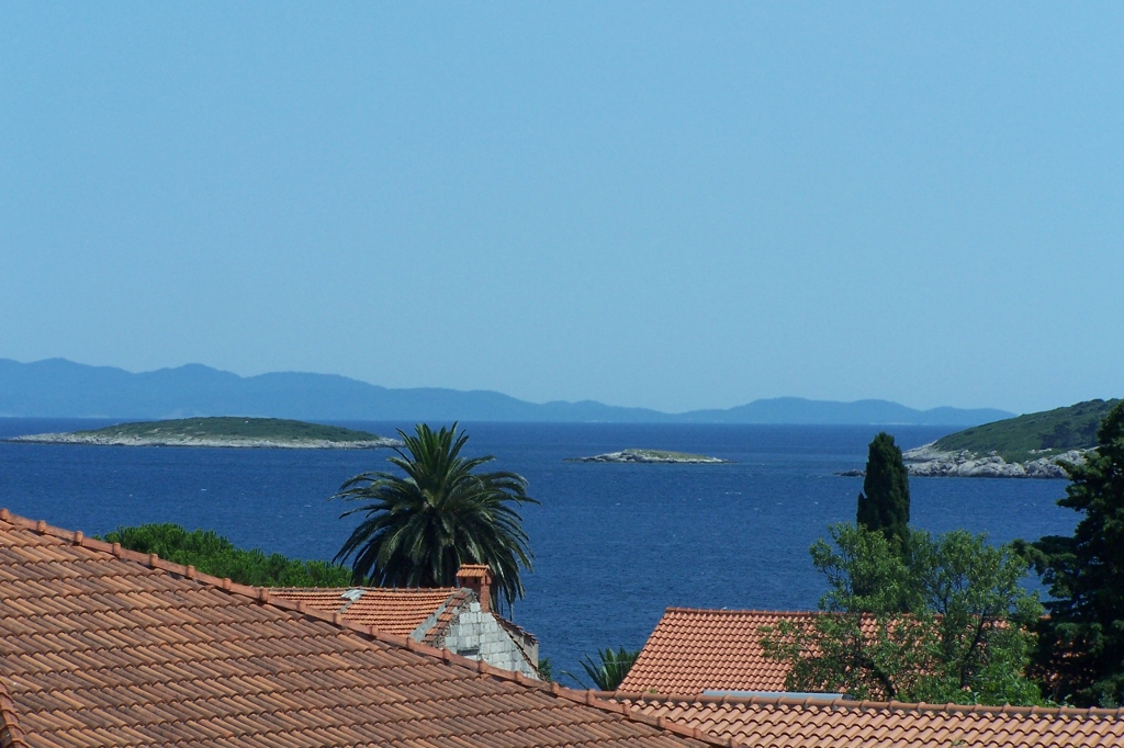 104_9276 (1024x682).jpg