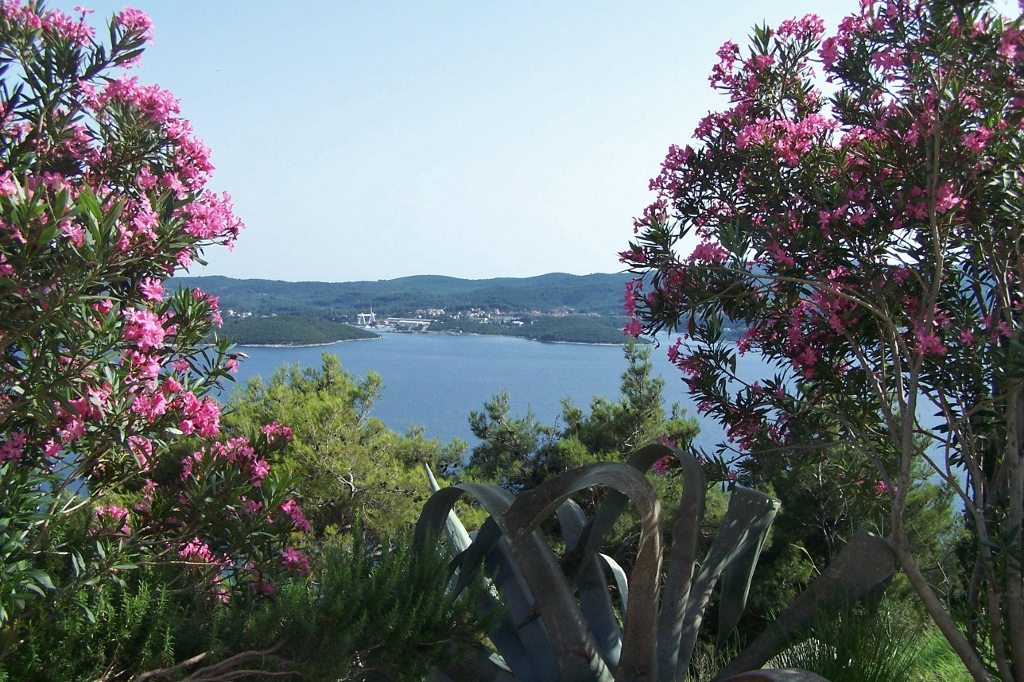 104_9294 (1024x682).jpg