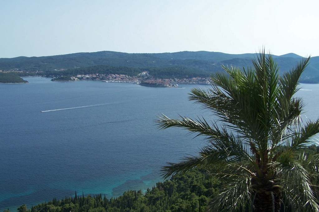 104_9306 (1024x682).jpg