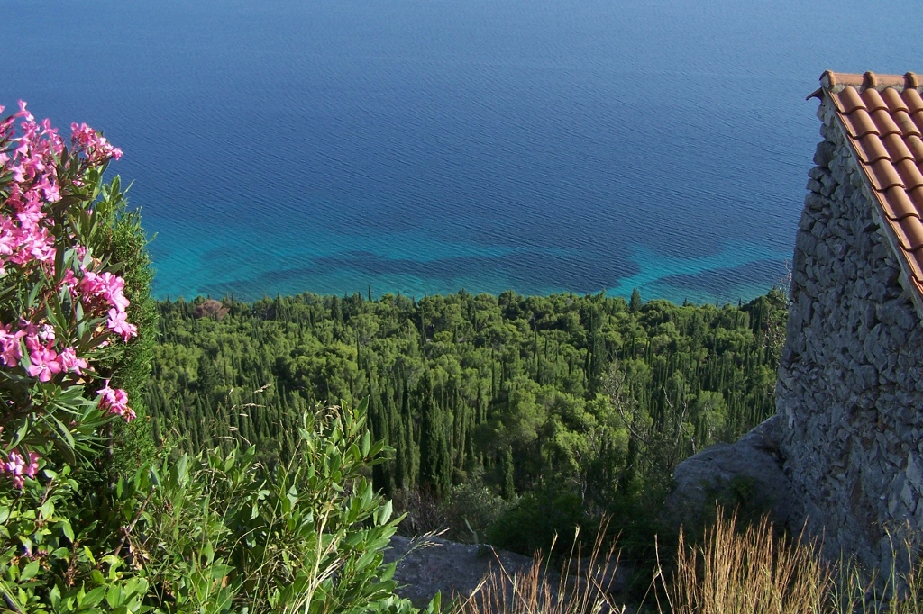 104_9322 (1024x682).jpg