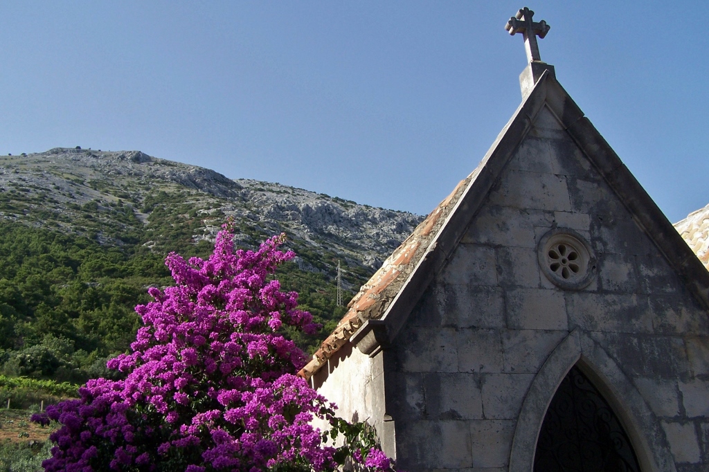 104_9333 (1024x682).jpg