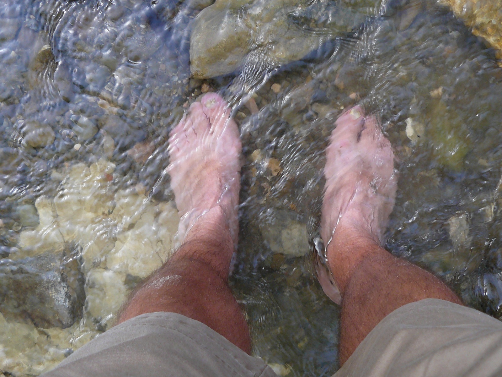 P1050742.JPG