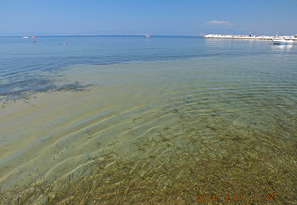 2084 - Skala Rachoniou.jpg