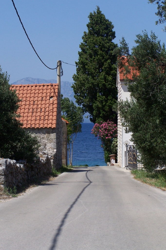 104_9427 (682x1024).jpg