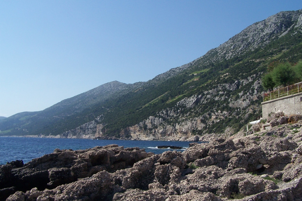 104_9441 (1024x682).jpg