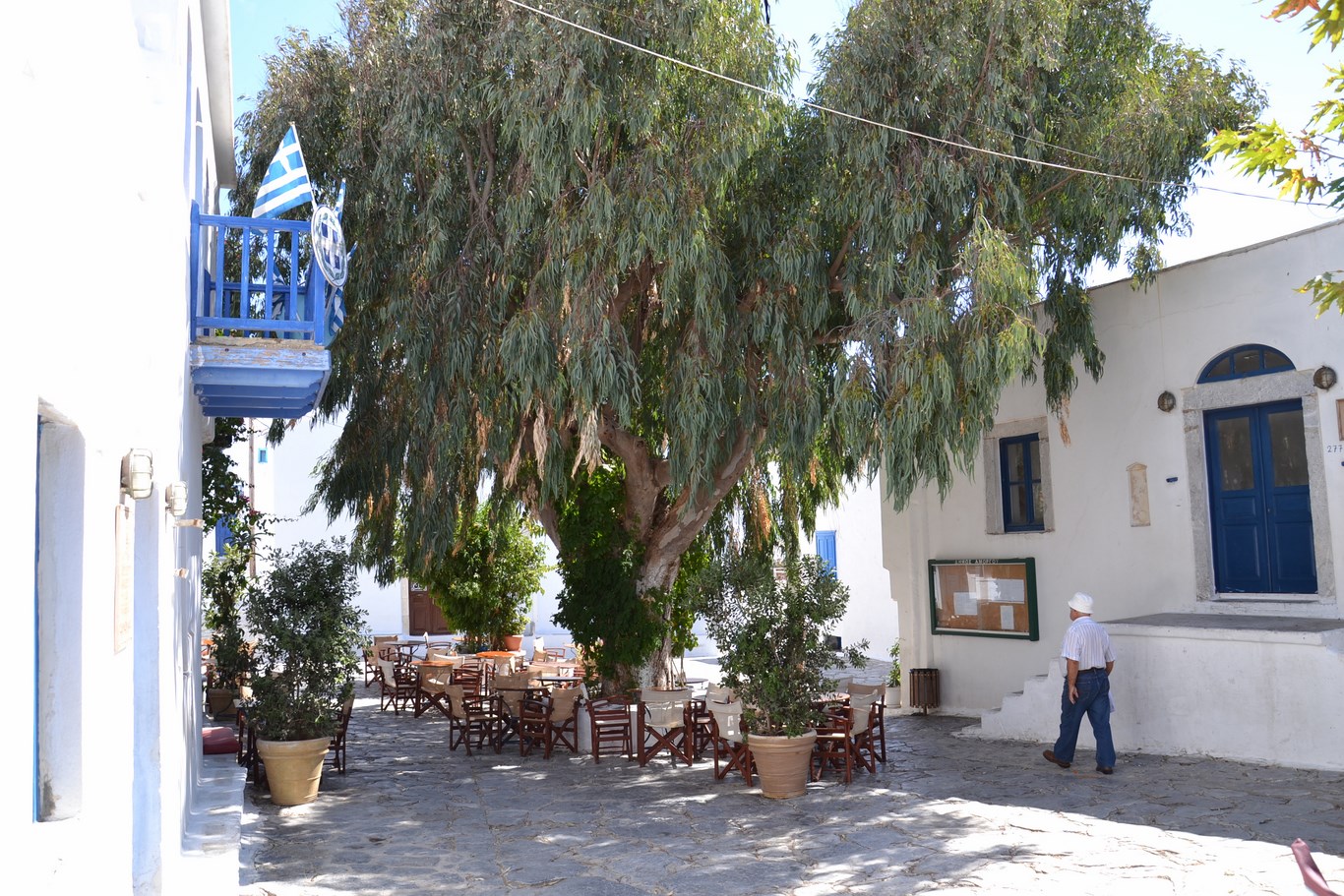 DSC_0756 (Kopiowanie).JPG