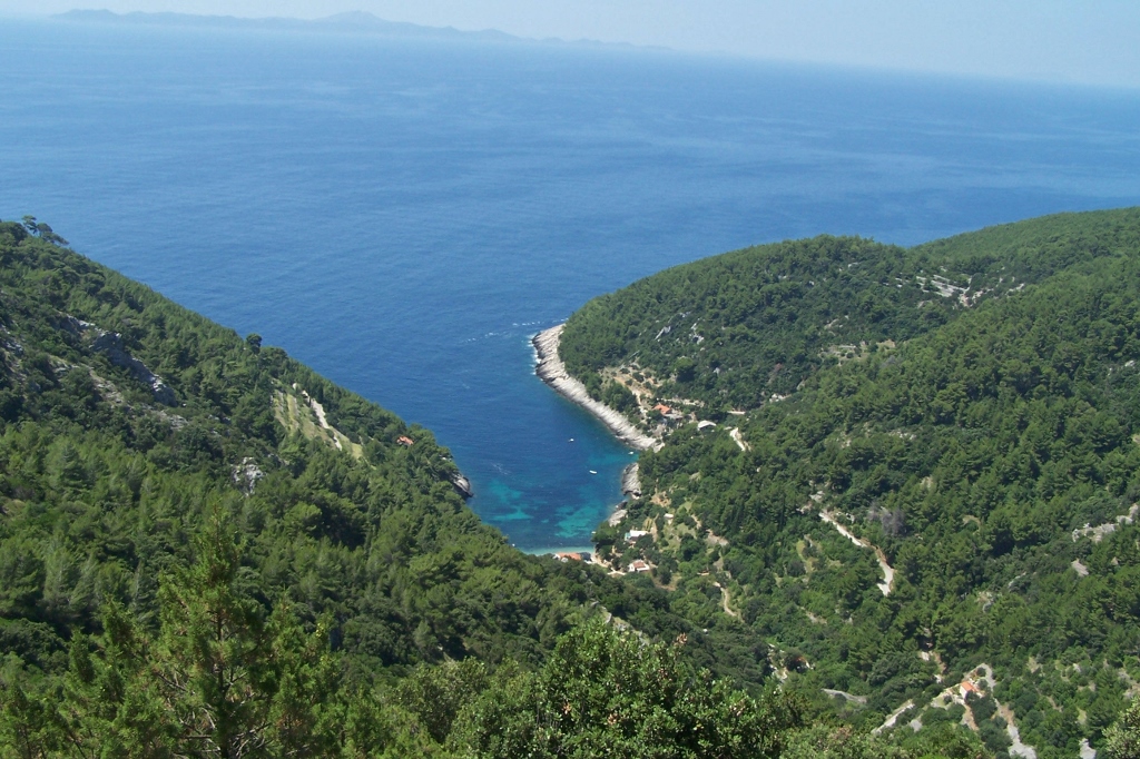 104_9471 (1024x682).jpg