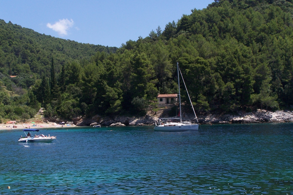 104_9495 (1024x682).jpg