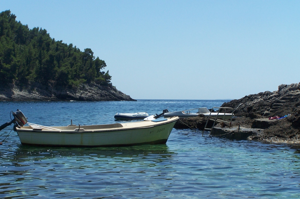 104_9505 (1024x682).jpg