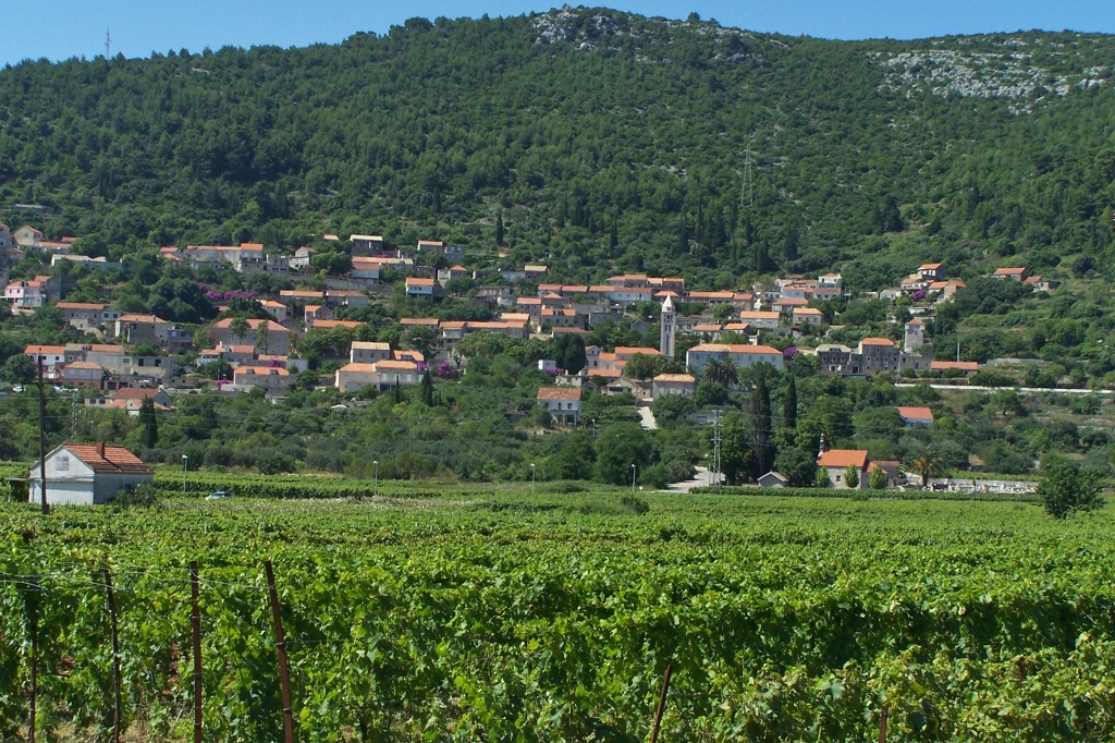 104_9534 (1024x682).jpg