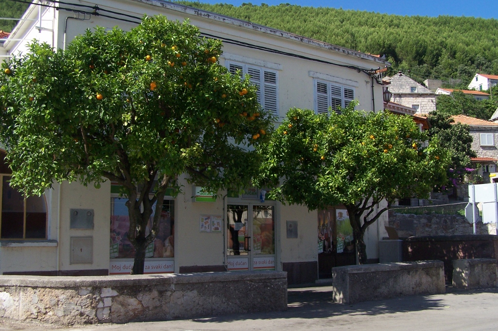 104_9552 (1024x682).jpg