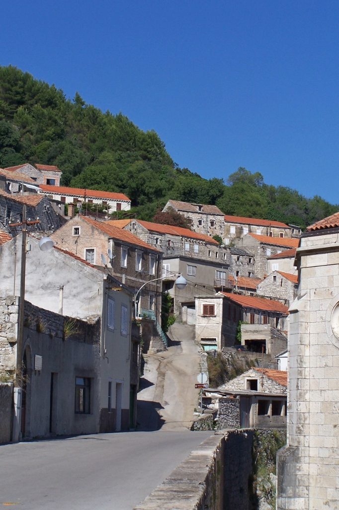 104_9555 (682x1024).jpg