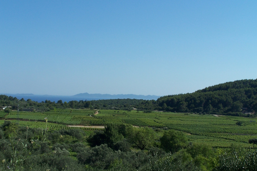 104_9556 (1024x682).jpg