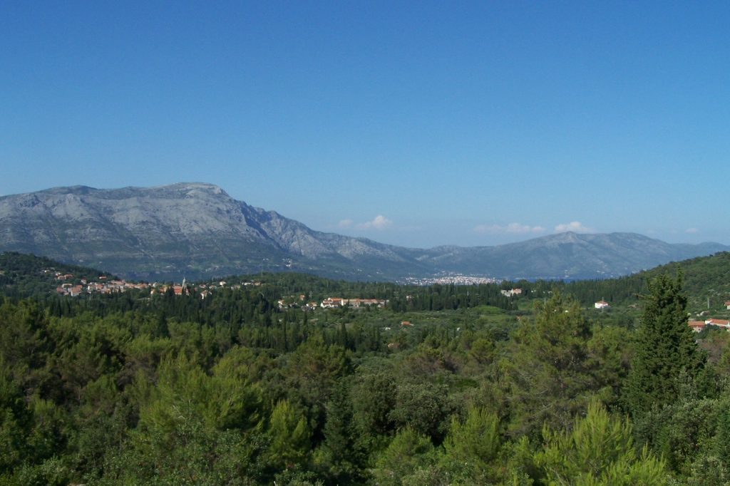 104_9572 (1024x682).jpg