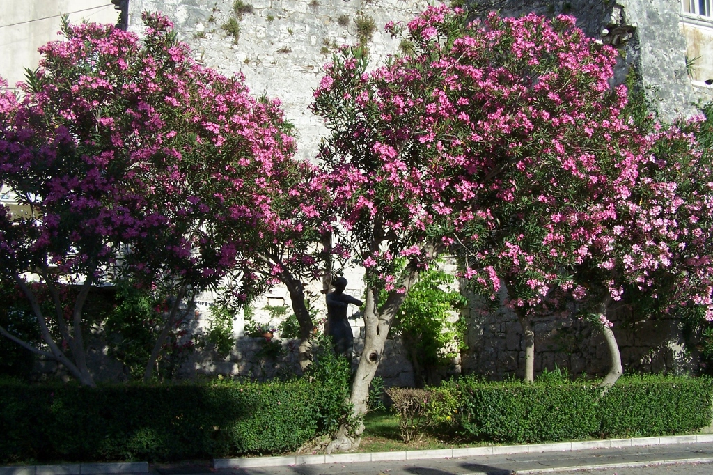 104_9579 (1024x682).jpg