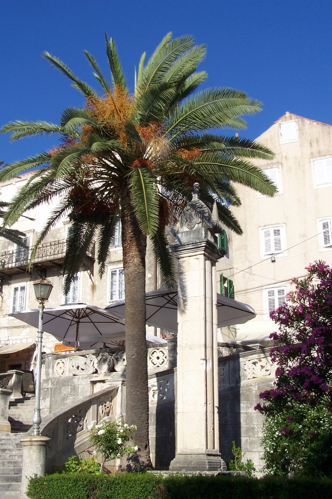 104_9583 (682x1024).jpg