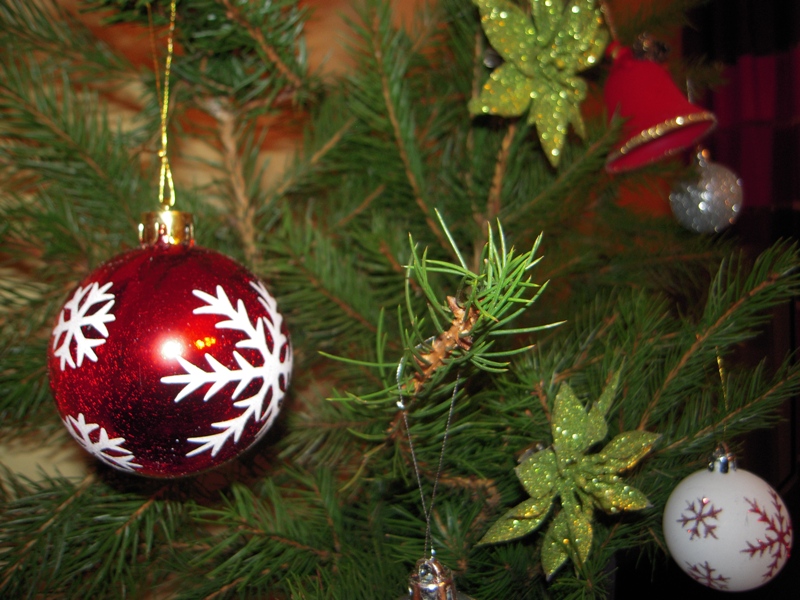 choinka 2.jpg