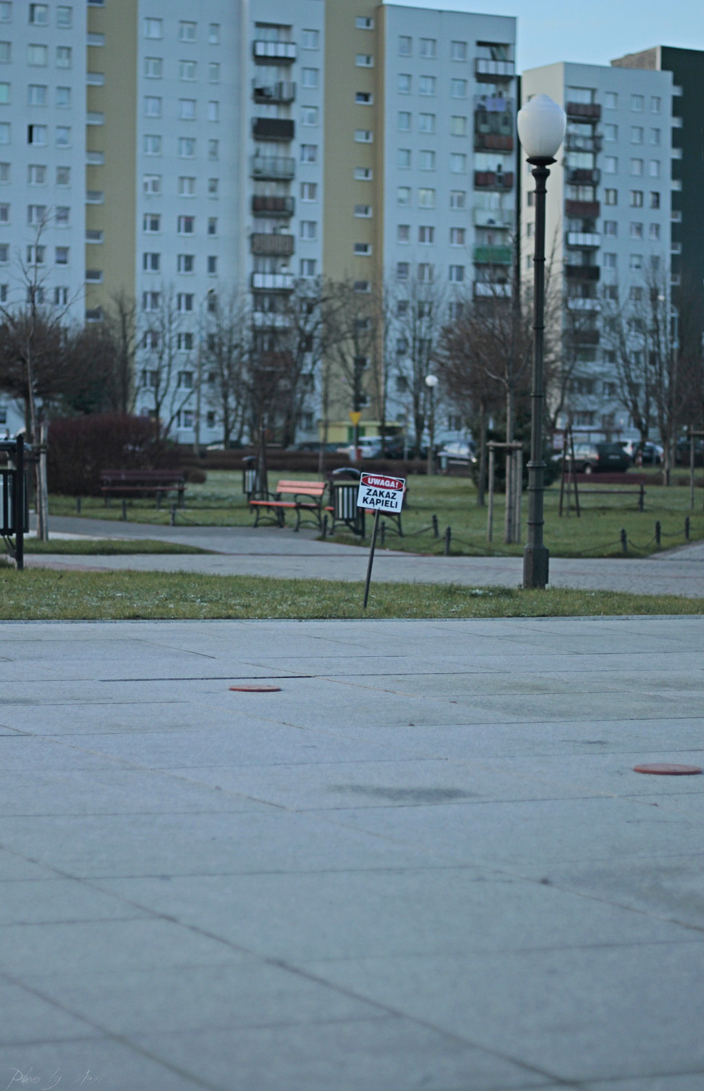 _MG_3076a.JPG