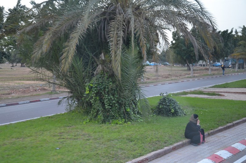 DSC_0092 (Kopiowanie).JPG