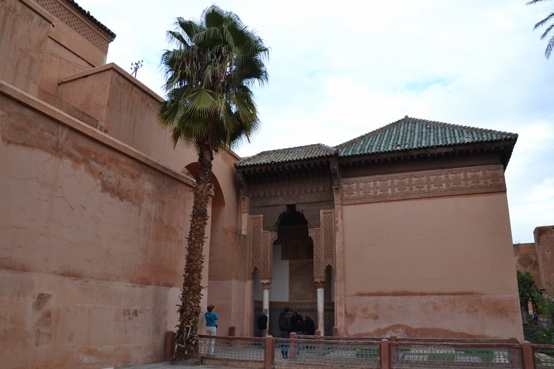 DSC_0658 (Kopiowanie).JPG