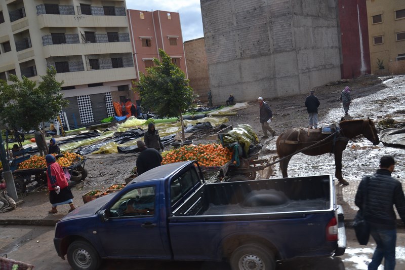 DSC_0022 (Kopiowanie).JPG