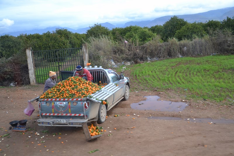 DSC_0039 (Kopiowanie).JPG