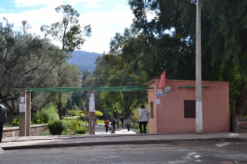 DSC_0098 (Kopiowanie).JPG