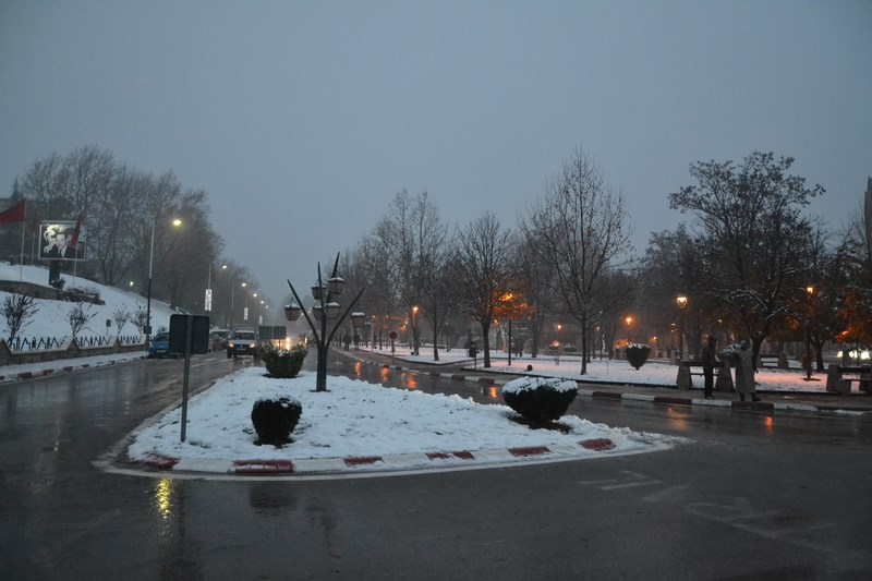 DSC_0231 (Kopiowanie).JPG