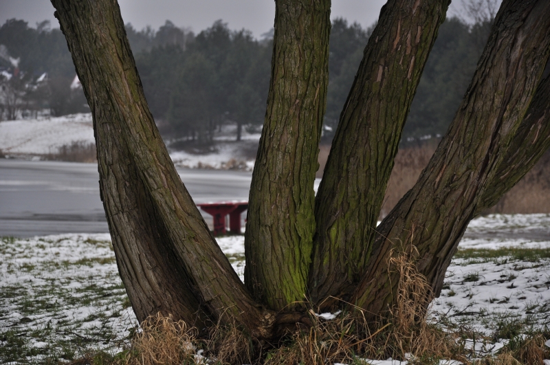 _DSC1783.jpg