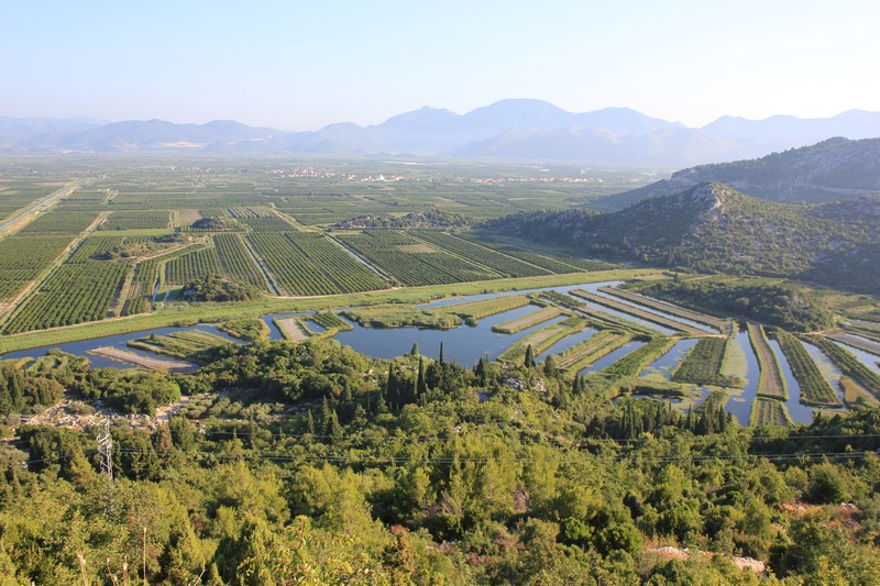 IMG_4486 (Kopiowanie).JPG