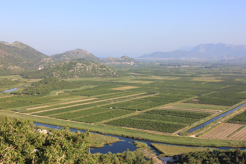 IMG_4487 (Kopiowanie).JPG