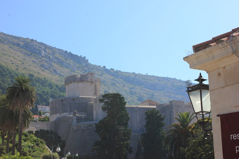 IMG_4513 (Kopiowanie).JPG