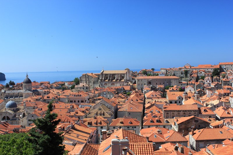 IMG_4608 (Kopiowanie).JPG