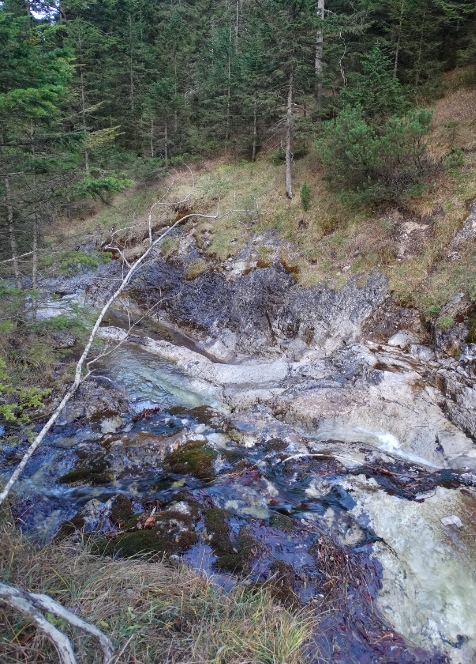 Zrzut ekranu 2015-01-2 o 15.17.50.png