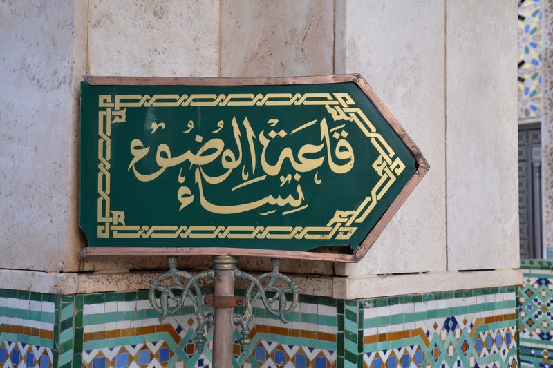 DSC_0509 (Kopiowanie).JPG