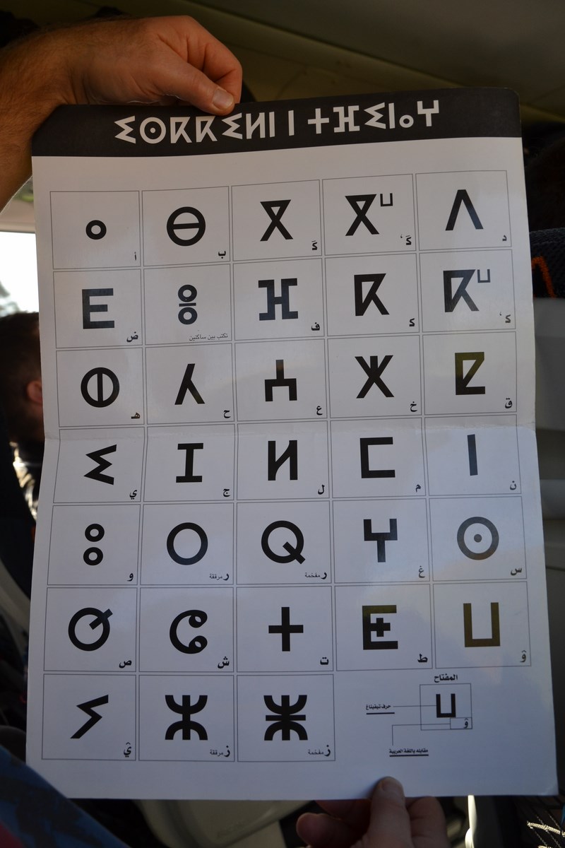 DSC_0713 (Kopiowanie).JPG