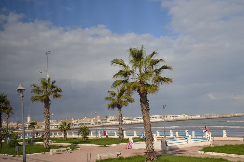 DSC_0759 (Kopiowanie).JPG