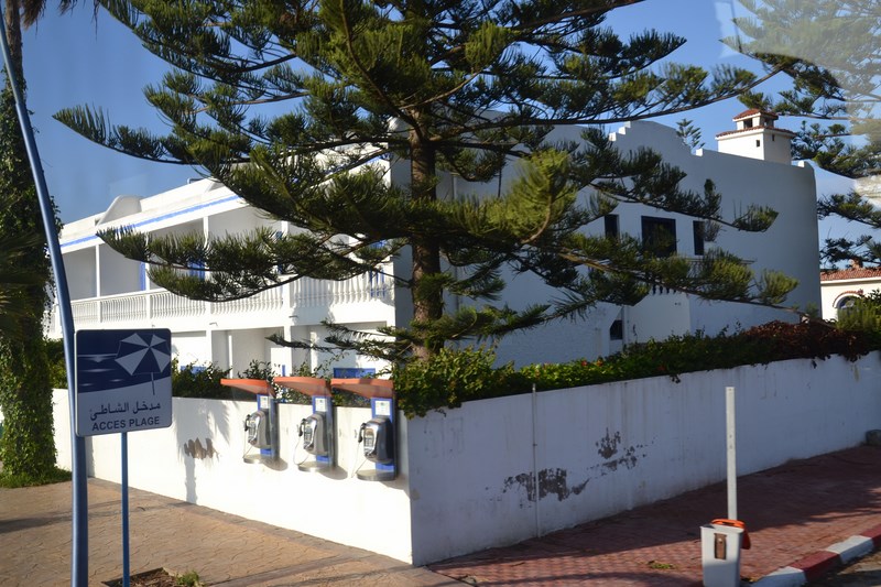 DSC_0976 (Kopiowanie).JPG