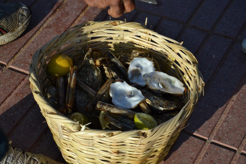 DSC_0993 (Kopiowanie).JPG