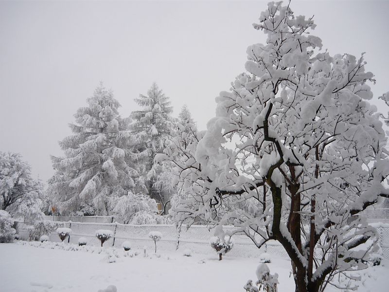ogródek2.jpg