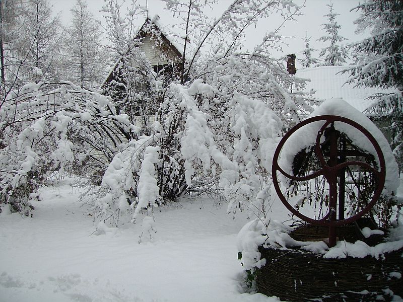 ogródek3.jpg