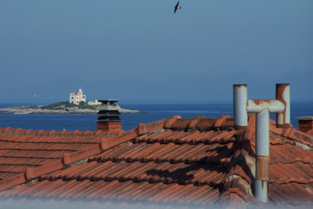 104_9614 (1024x682).jpg